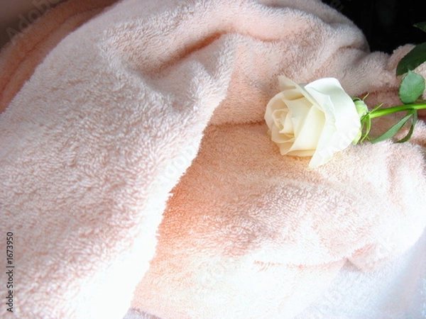 Obraz serviette de bain
