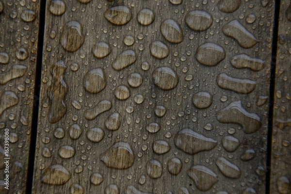 Obraz Raindrops on Wood
