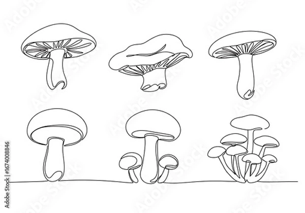 Obraz Fungal Forms: A Line's Embrace