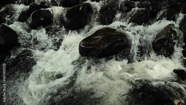 Fototapeta Scenic river with flowing water, rocks, trees, underwater view and sun reflection
