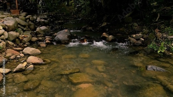 Fototapeta Scenic river with flowing water, rocks, trees, underwater view and sun reflection