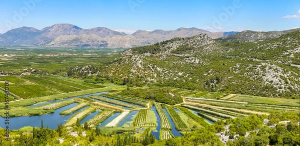 Fototapeta A view of the irrigated agricultural orchards and fields in the delta of the river Neretva in Opuzen, Croatia.