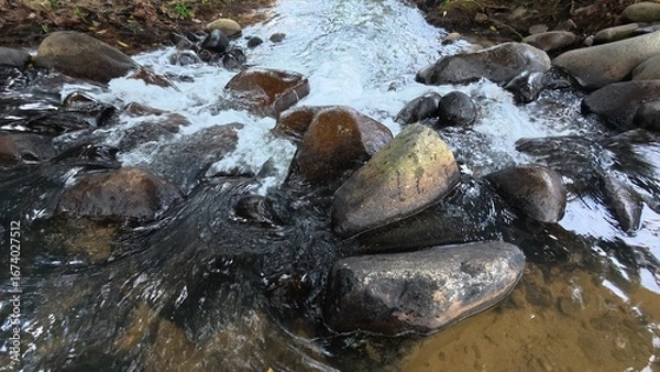 Fototapeta Scenic river with flowing water, rocks, trees, underwater view and sun reflection