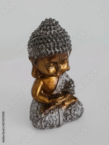 Obraz Bouddha enfant