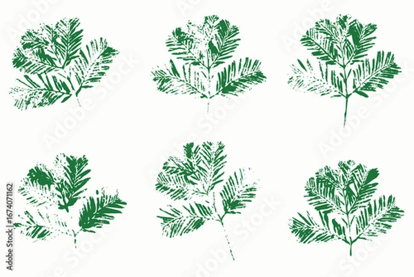 Obraz Christmas spruce branches imprint, grunge style, vector decorative elements, isolated green foliage for holiday design