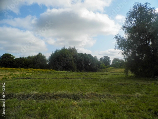 Fototapeta A green field with mown grass, trees on the horizon, a sky covered with clouds, and sunny weather.