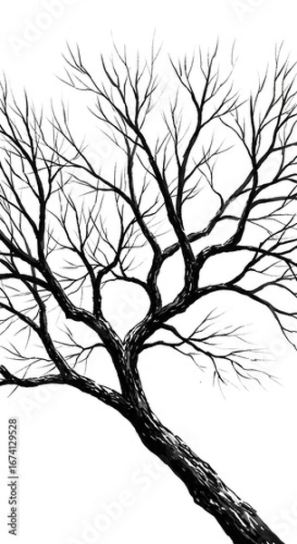 Obraz Ink Sketch: Winter's Embrace