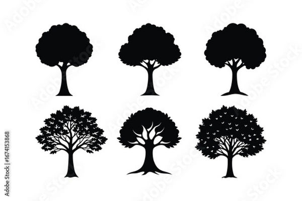 Fototapeta Set of black Tree  silhouette vector 