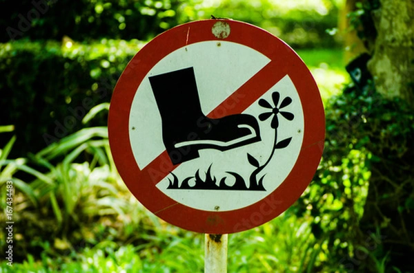 Obraz Prohibited from stepping on flowers