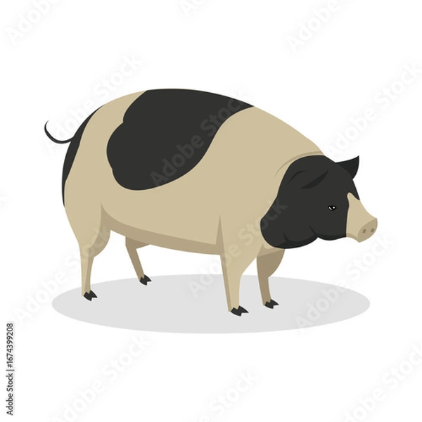 Obraz Simple Color Animal Vector Illustration Design
