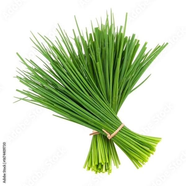 Obraz Fresh chives bunch isolated on white