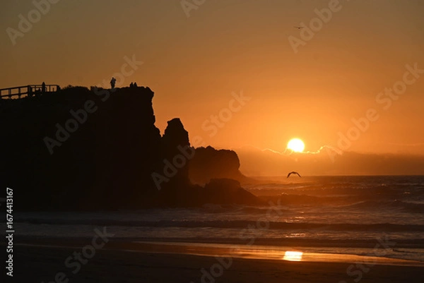 Obraz sunset at the beach