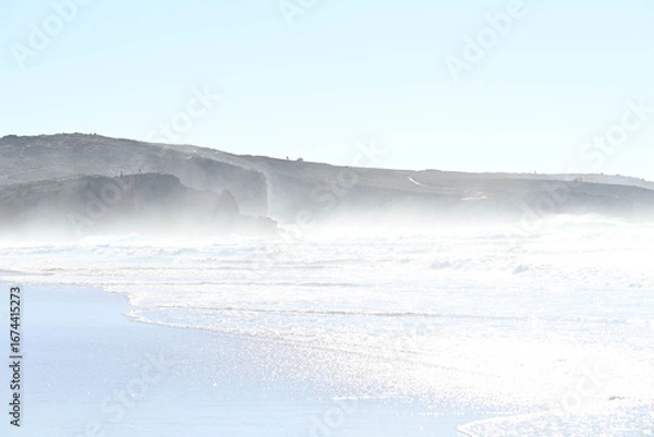 Obraz beach with mist
