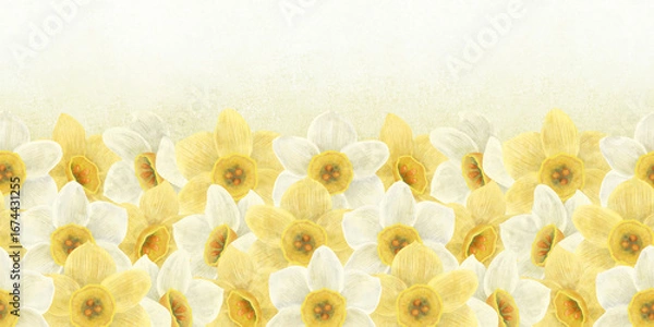 Fototapeta Seamless flower border of yellow, white daffodils on a gradient background with a yellow tint. Handmade digital illustration, watercolor, pastel.