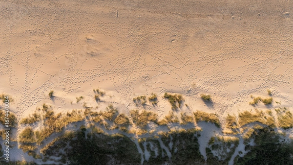 Obraz sandy beach top view from drone