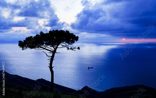 Fototapeta The sea breeze rocks the top of the pine tree, standing alone on the hillside of Jaizkibel, as the sun sinks into the Cantabrian Sea, Euskadi.