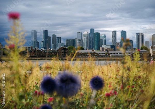 Obraz Greenwich, London, England, United Kingdom, 16th July 2025, view of Canary Wharf skyline with Greenwich wildflowers in the foreground
