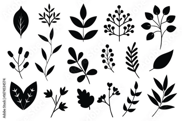 Fototapeta black silhouettes of leaves