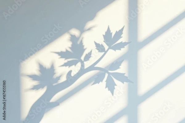 Fototapeta Abstract shadow of leafy tree branch cast on white wall , wall, minimal