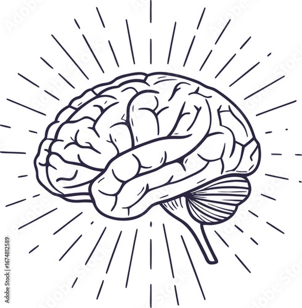 Obraz Stylized Line Art Brain with Sunburst Rays human brain