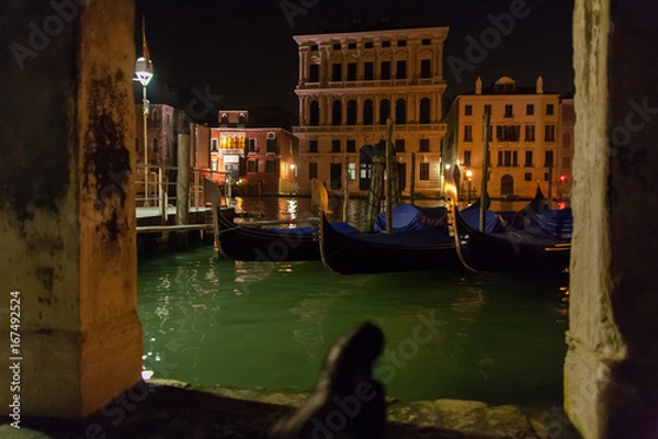 Obraz Venice at Night