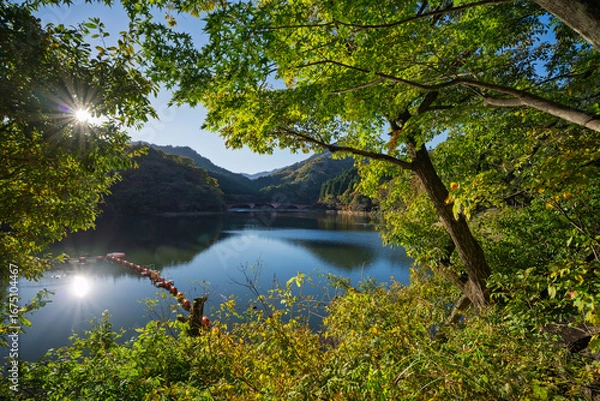 Obraz 快晴の碓氷湖　群馬県安中市
