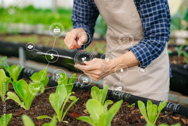 Fototapeta Farmers using digital technology and data analytics in greenhouses to optimize crop growth, showcasing innovation, sustainability, and precision agriculture.