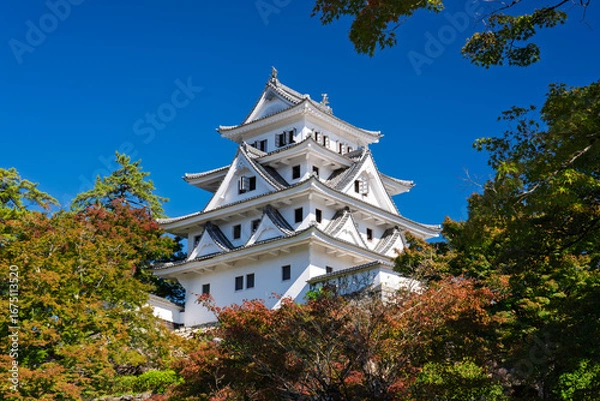 Obraz 秋の郡上八幡城　岐阜県郡上市