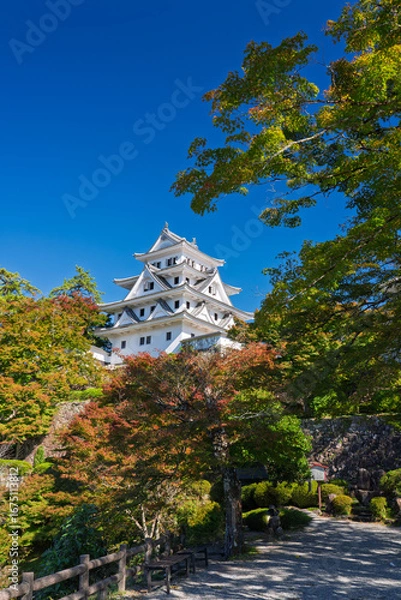 Obraz 秋の郡上八幡城　岐阜県郡上市