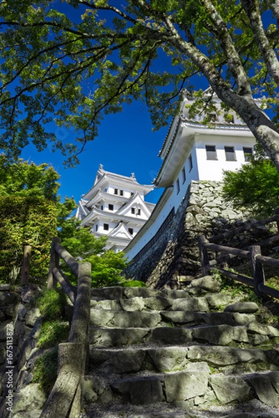 Obraz 快晴の郡上八幡城天守と桜ノ丸隅櫓　岐阜県郡上市