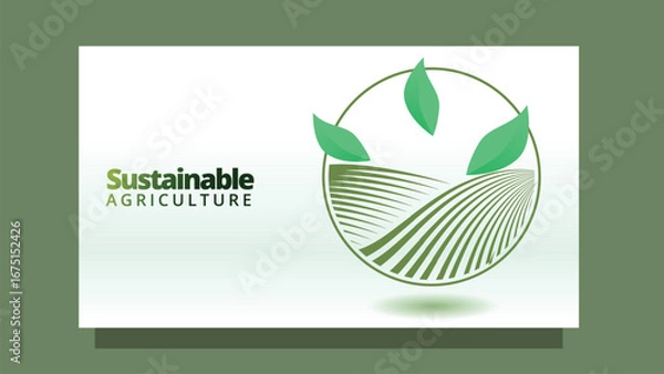 Fototapeta sutainable agriculture concept. abstract farm field  with green leafs. go green movement web or presentation template vector illustration