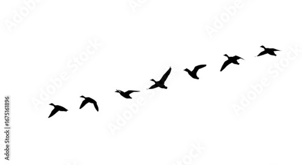 Fototapeta Birds In Flight Abstract Line Art Dark Background