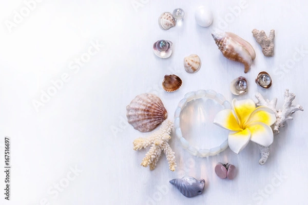 Fototapeta the white background on the marine theme with seashells, beads, corals, earrings, bracelet and a yellow flower
