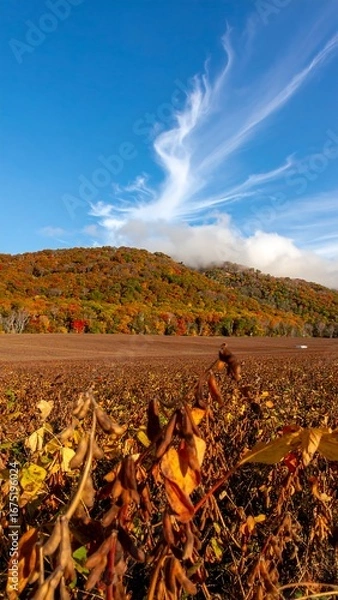 Obraz Autumn Field Landscape View