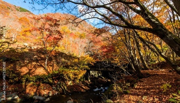 Obraz Autumn Foliage Mountain Stream