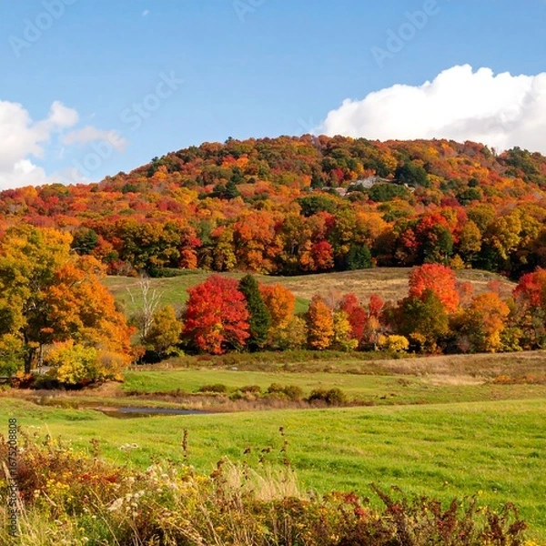 Obraz Autumn Foliage Mountain View (4)