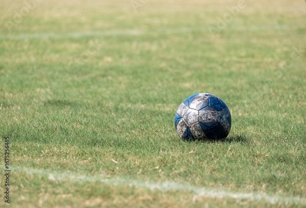 Fototapeta 芝生に転がるサッカーボール