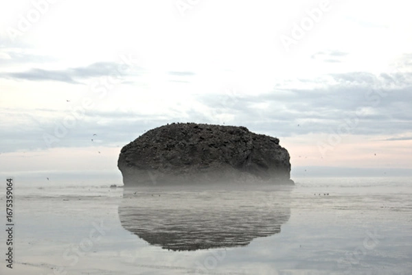 Obraz rocks in the sea