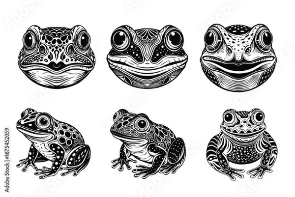 Obraz Beautiful and playful Frog