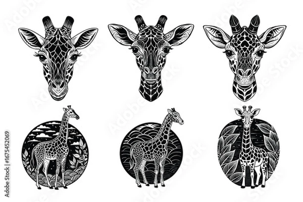 Obraz Beautiful and playful Giraffe