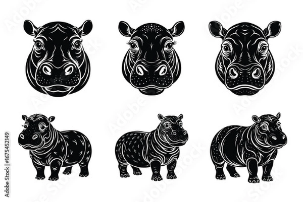 Obraz Beautiful and playful Hippo
