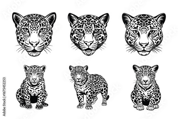 Obraz Beautiful and playful Jaguar
