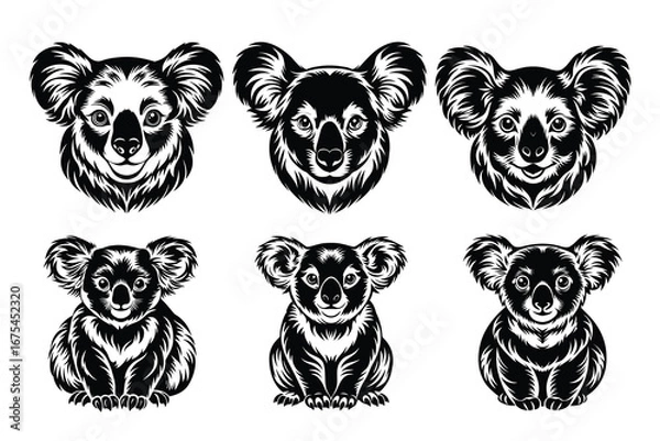 Obraz Beautiful and playful Koala