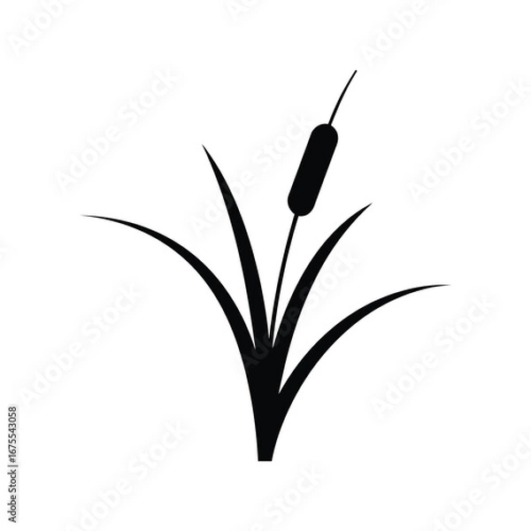Obraz Simple silhouette of a cattail plant with long grass blades against a white background