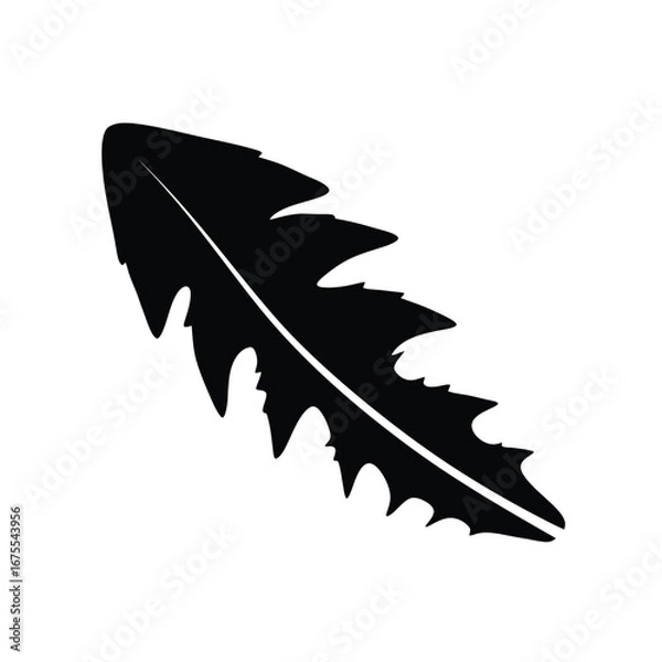 Fototapeta Isolated black silhouette of a jagged dandelion leaf on a white background
