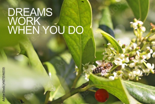 Fototapeta Dreams work when you do - motivation quote is shown using the text. Stop wishing start doing