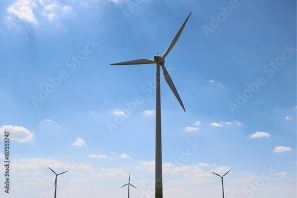 Obraz Windmills