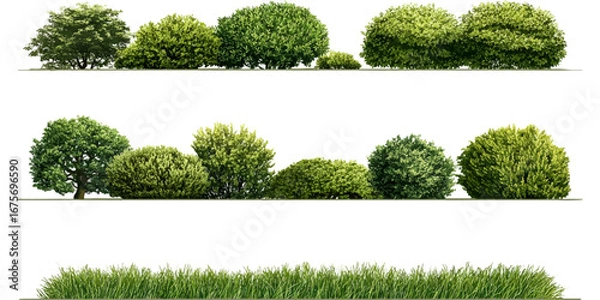 Obraz Contour of tall coniferous trees, set of beautiful  Bushes and Shrubs Vector Set – Realistic Green Plants and Grass Isolated for Landscape Design Illustration  on transparent background 
