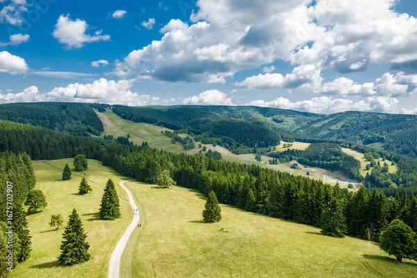 Obraz The Sudetes landscape seen from the Dalimilova rozhledna observation tower. Eastern Sudetes.