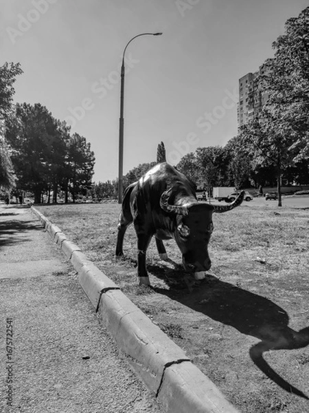Fototapeta Monochrome low-angle shot of a bull statue on a grassy island, casting a long shadow next to a paved path and a tall street lamp